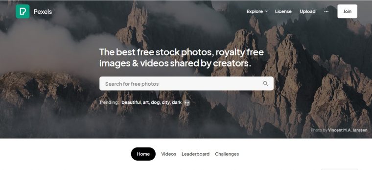 4. StockSnap.io: موقع شهير للحصول على صور بلا حقوق ملكية